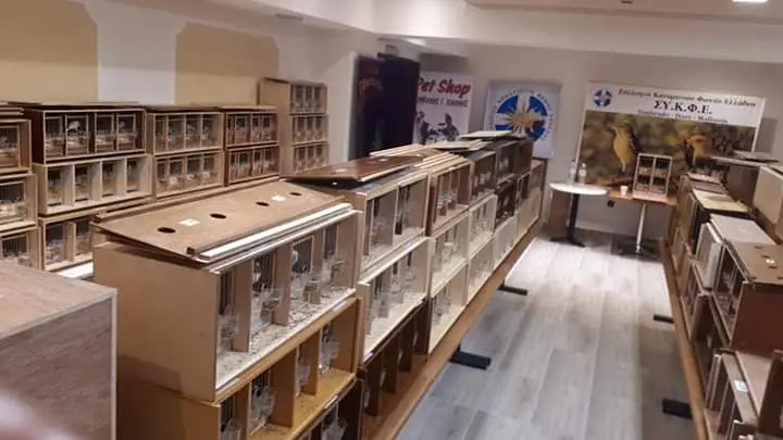 Συνημμένη εικόνα 68776