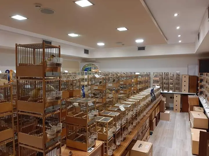 Συνημμένη εικόνα 68875