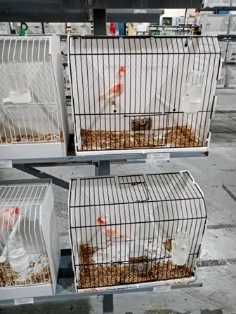Συνημμένη εικόνα 68893