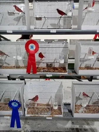 Συνημμένη εικόνα 68899