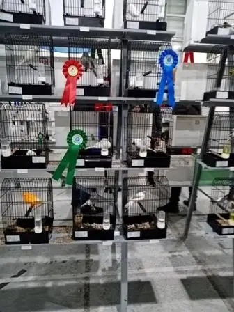 Συνημμένη εικόνα 68910