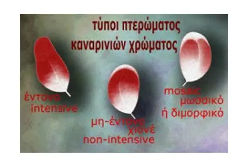 Συνημμένη εικόνα 69028