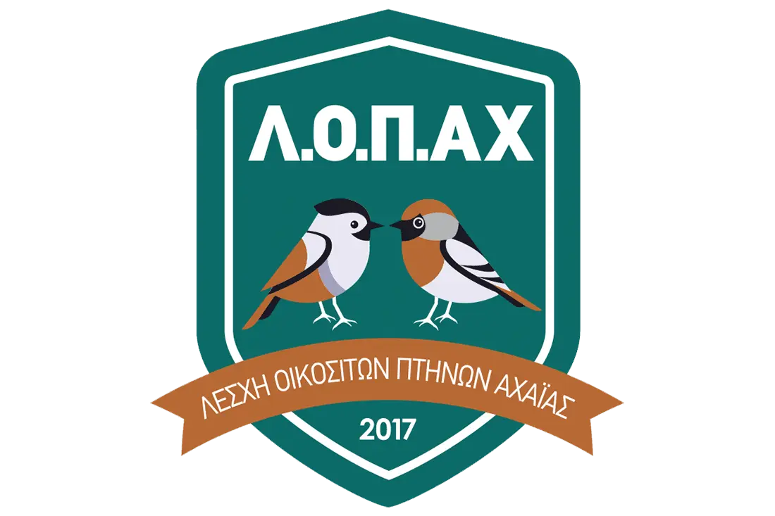 Συνημμένη εικόνα 69095