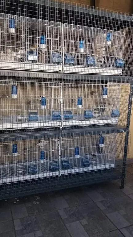 Συνημμένη εικόνα 69109