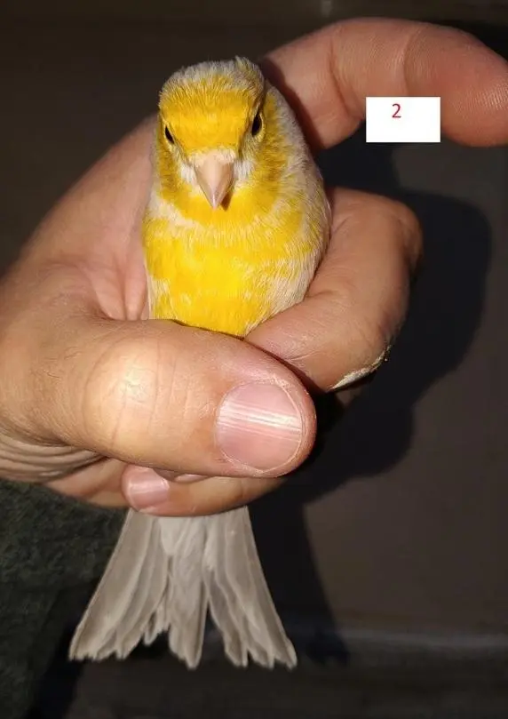 Συνημμένη εικόνα 69205