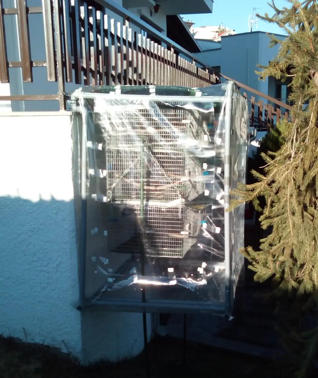 Συνημμένη εικόνα 69304