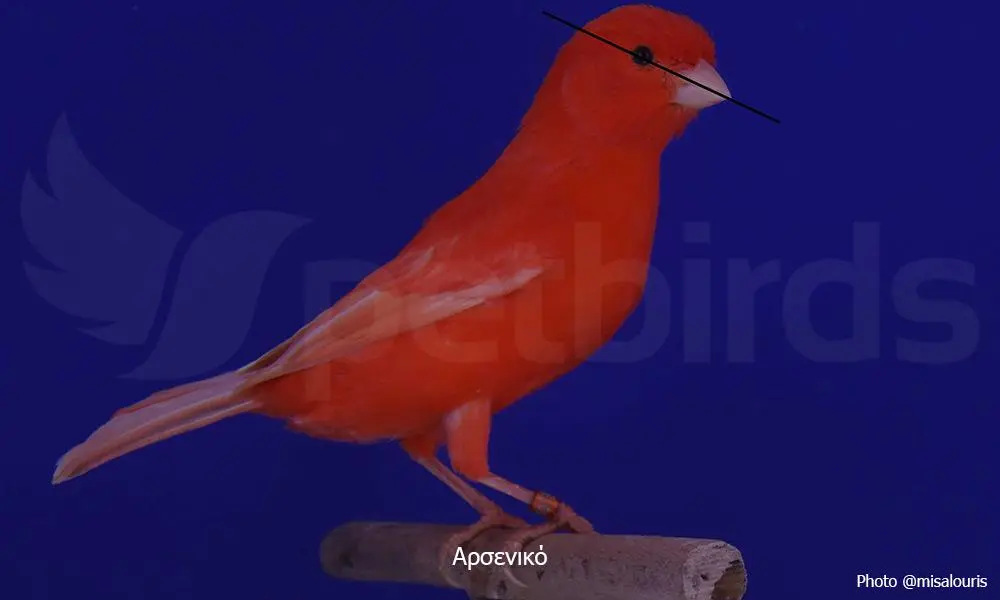 Συνημμένη εικόνα 69596