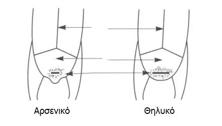 Συνημμένη εικόνα 69597