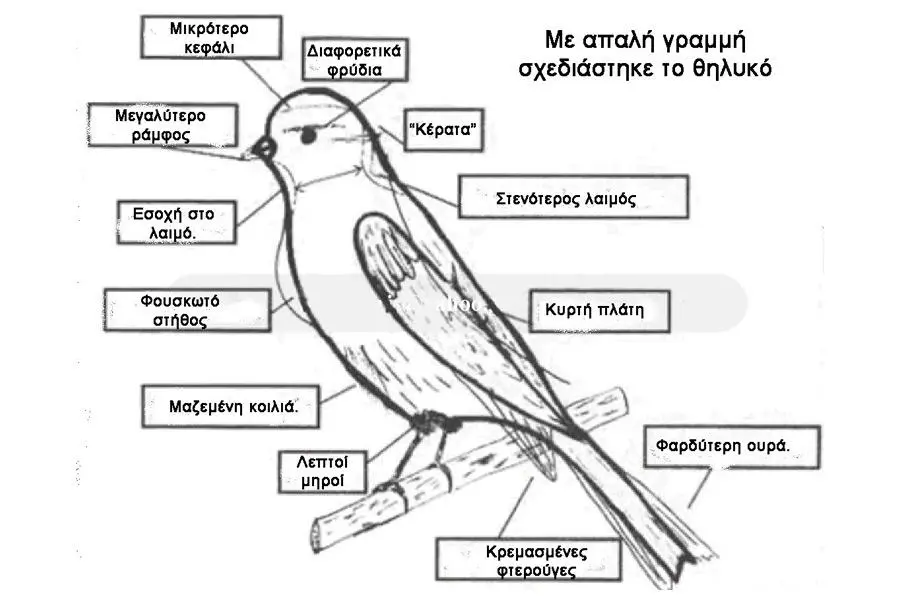 Συνημμένη εικόνα 69599