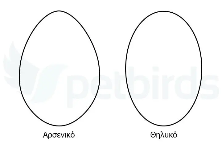 Συνημμένη εικόνα 69601