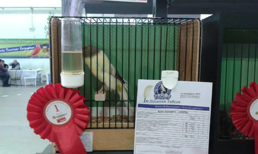 Συνημμένη εικόνα 69641