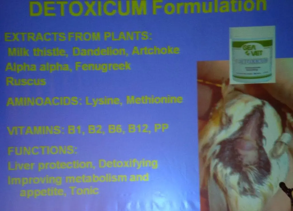 Συνημμένη εικόνα 69736