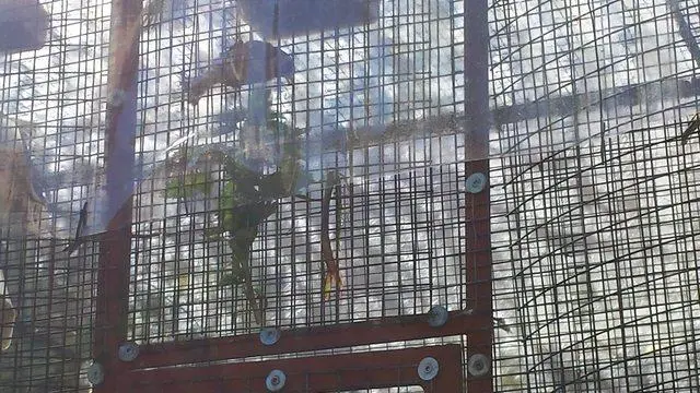 Συνημμένη εικόνα 69744