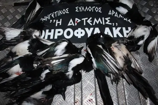 Συνημμένη εικόνα 69750