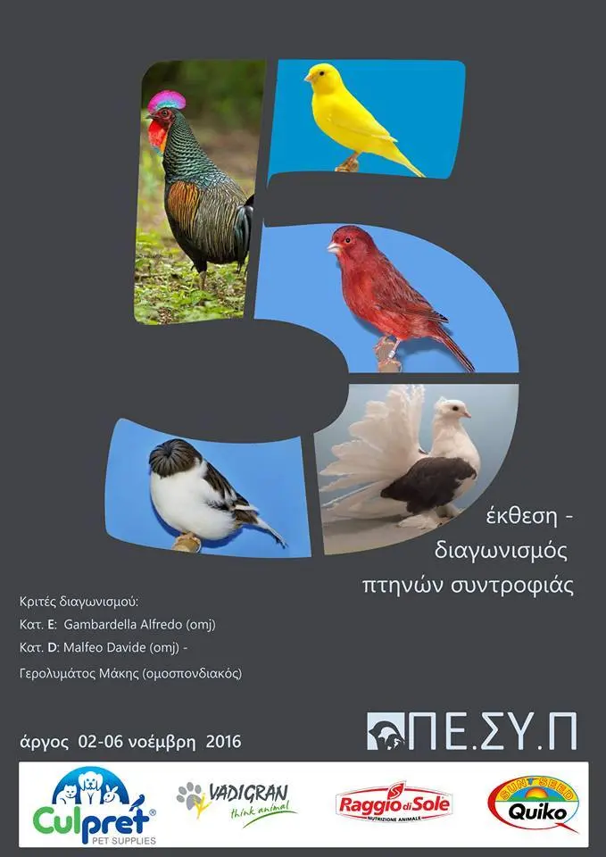 Συνημμένη εικόνα 69824