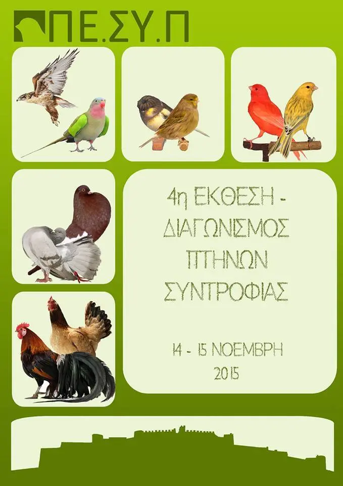 Συνημμένη εικόνα 69831