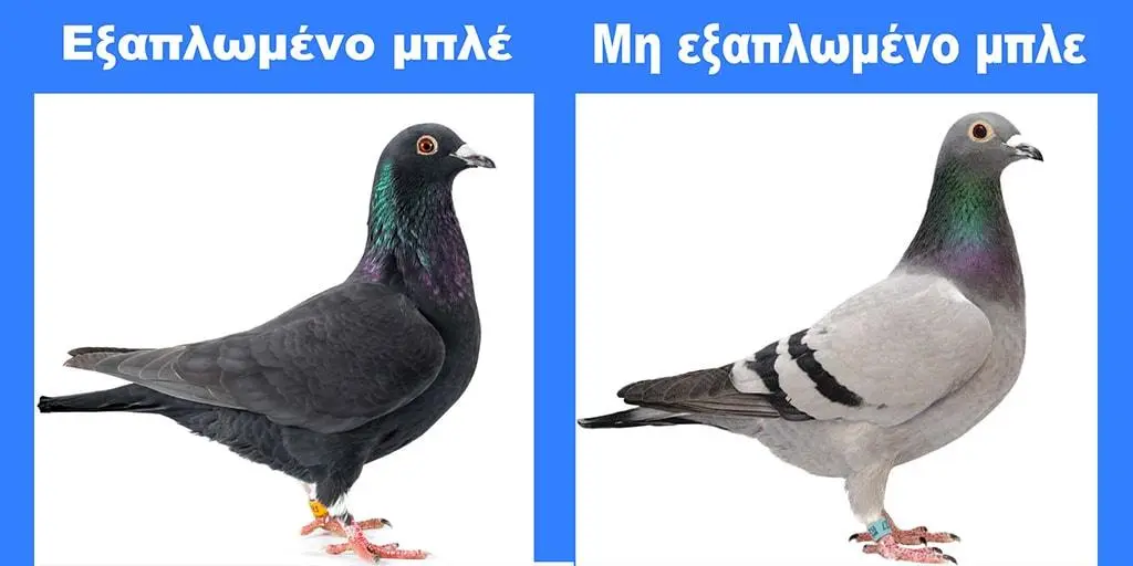 Συνημμένη εικόνα 69852