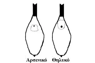 Συνημμένη εικόνα 69904