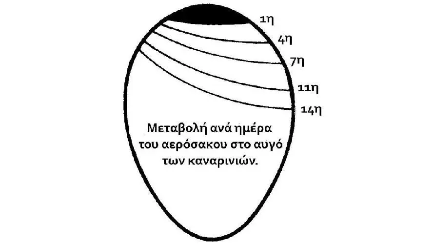 Συνημμένη εικόνα 69908