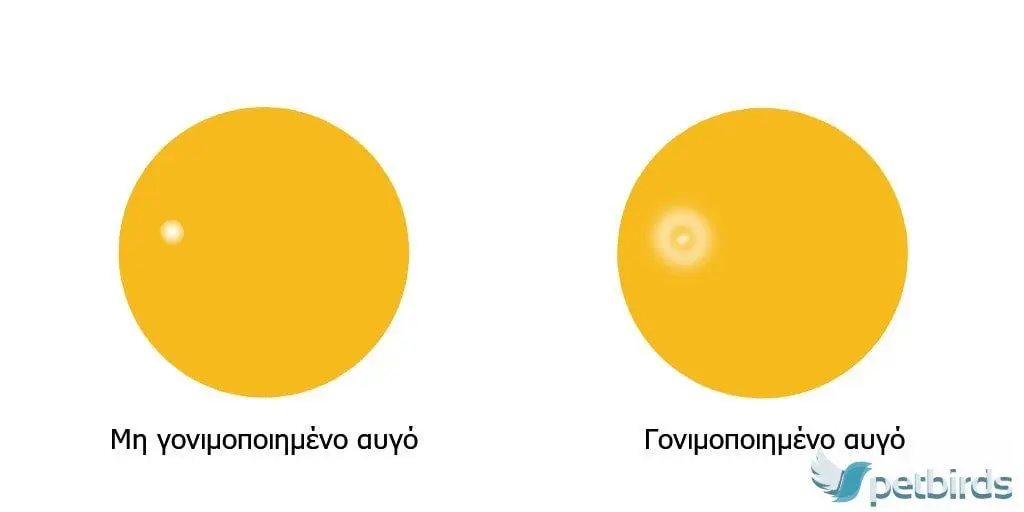 Συνημμένη εικόνα 69956