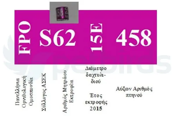 Συνημμένη εικόνα 70336