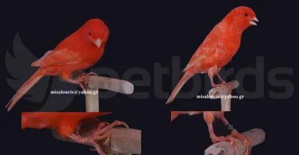Συνημμένη εικόνα 70353