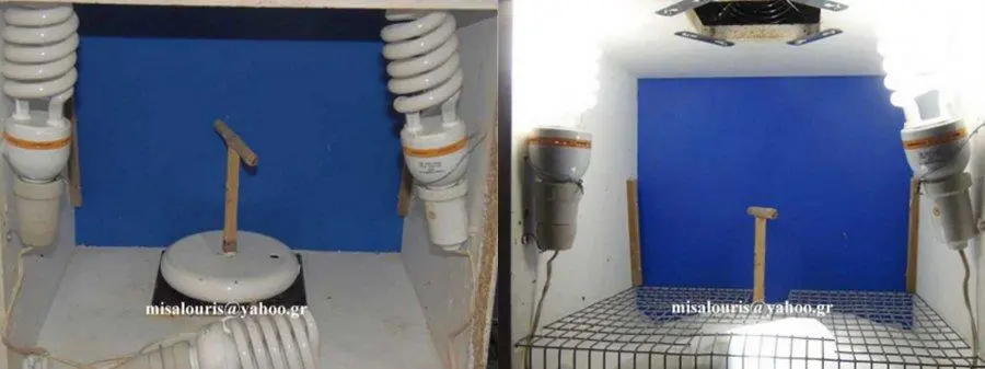 Συνημμένη εικόνα 70399