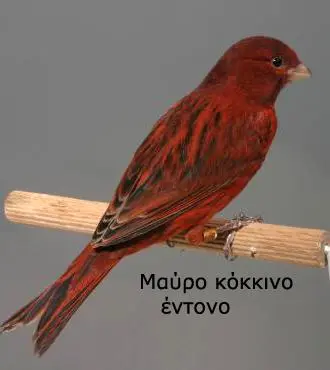 Συνημμένη εικόνα 70648