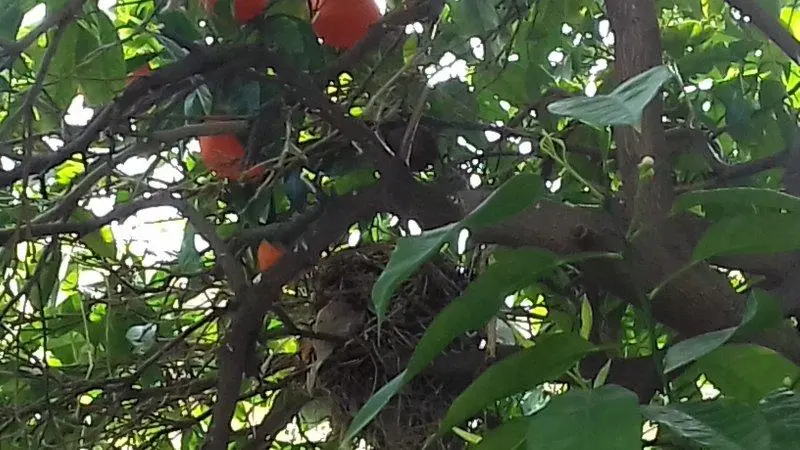 Συνημμένη εικόνα 70829