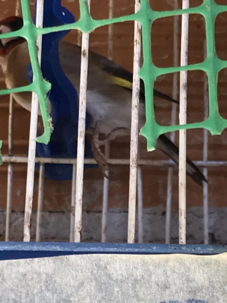 Συνημμένη εικόνα 70957