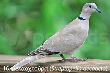Συνημμένη εικόνα 71343