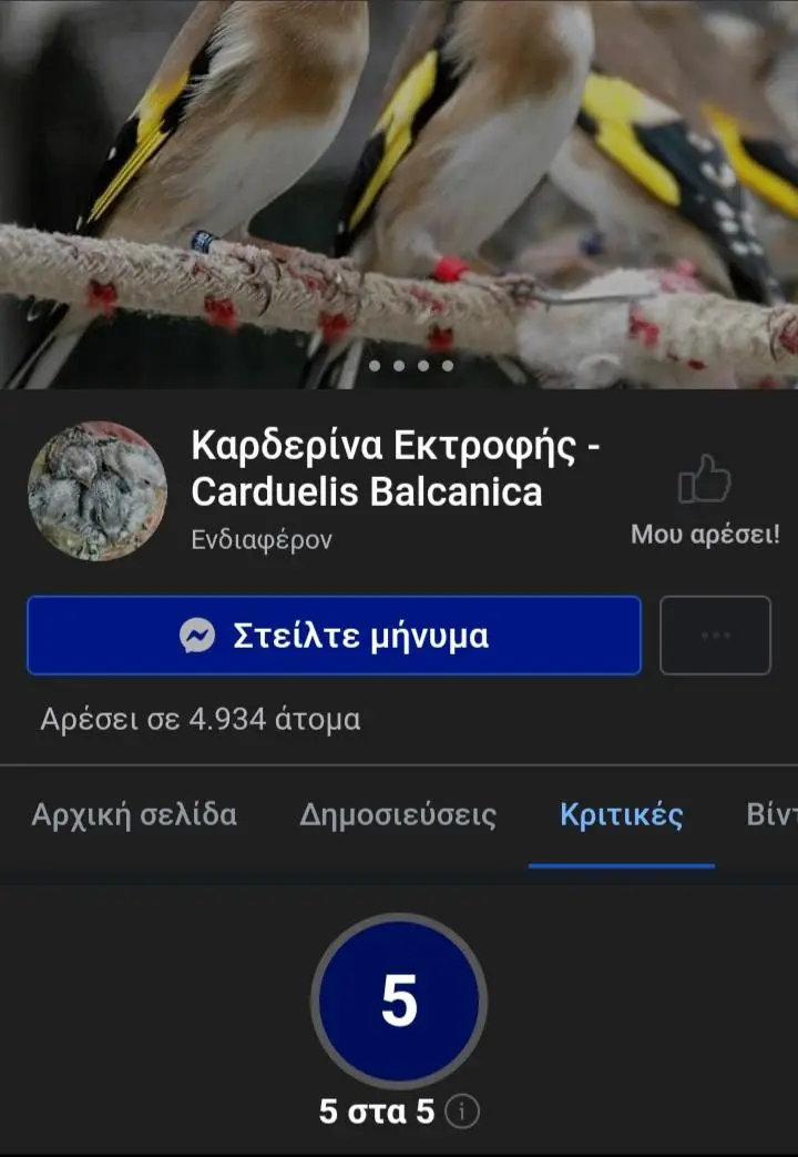 Συνημμένη εικόνα 71683