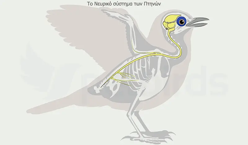 Συνημμένη εικόνα 71714