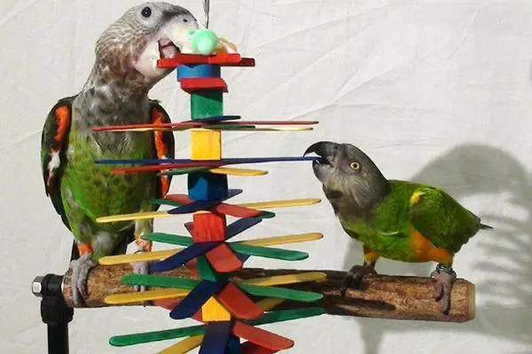Συνημμένη εικόνα 71720