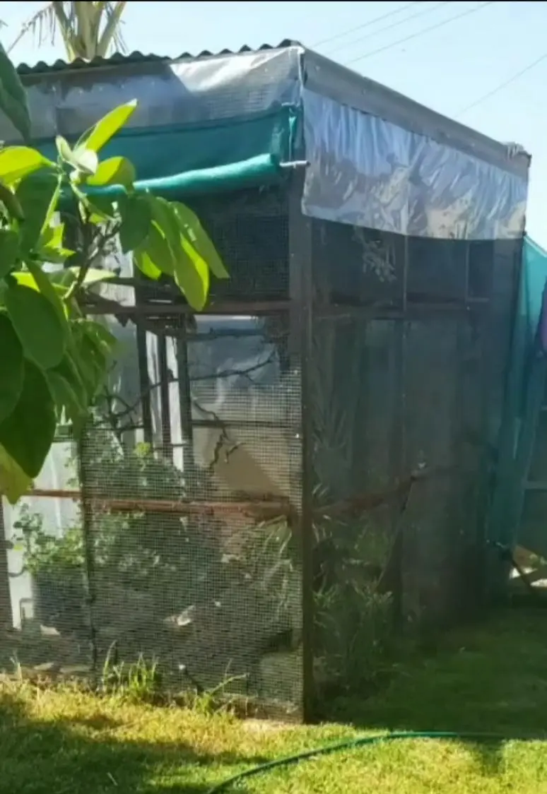 Συνημμένη εικόνα 71878