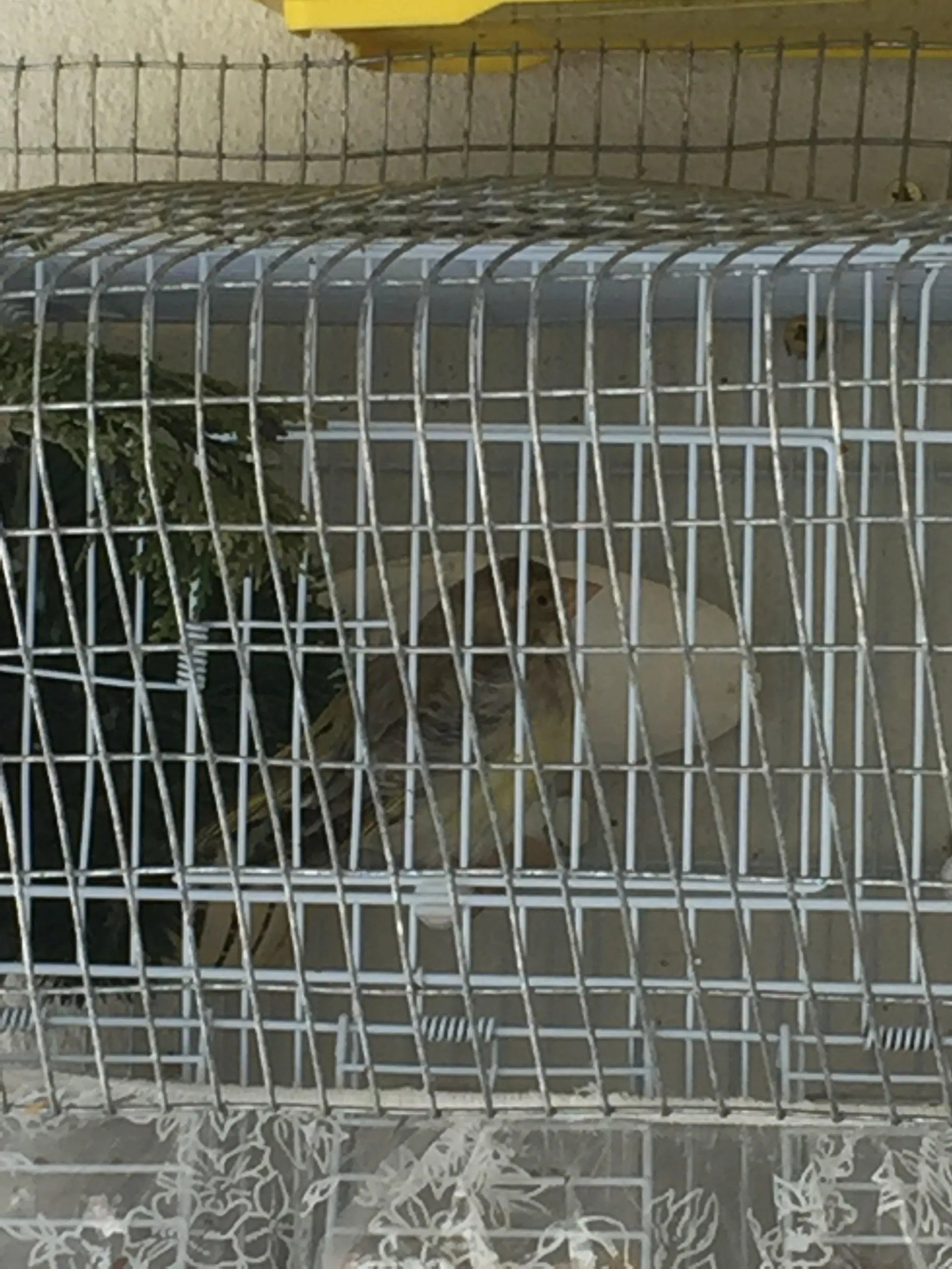 Συνημμένη εικόνα 72237