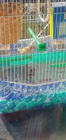 Συνημμένη εικόνα 72449