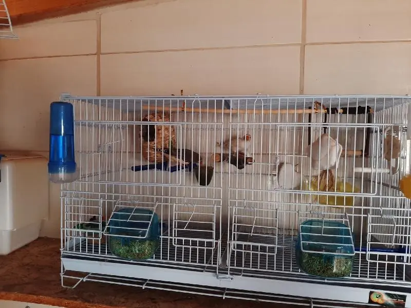 Συνημμένη εικόνα 72662