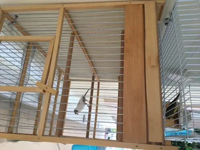 Συνημμένη εικόνα 72877