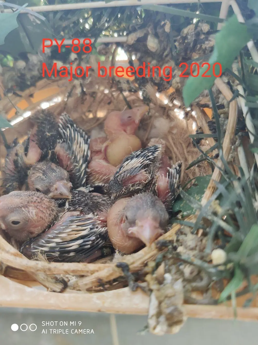 Συνημμένη εικόνα 73134
