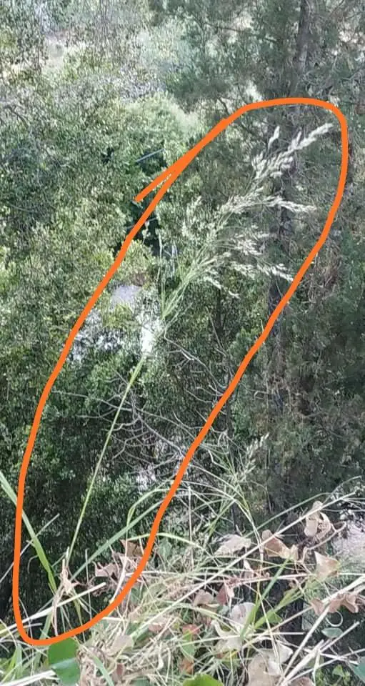 Συνημμένη εικόνα 73263
