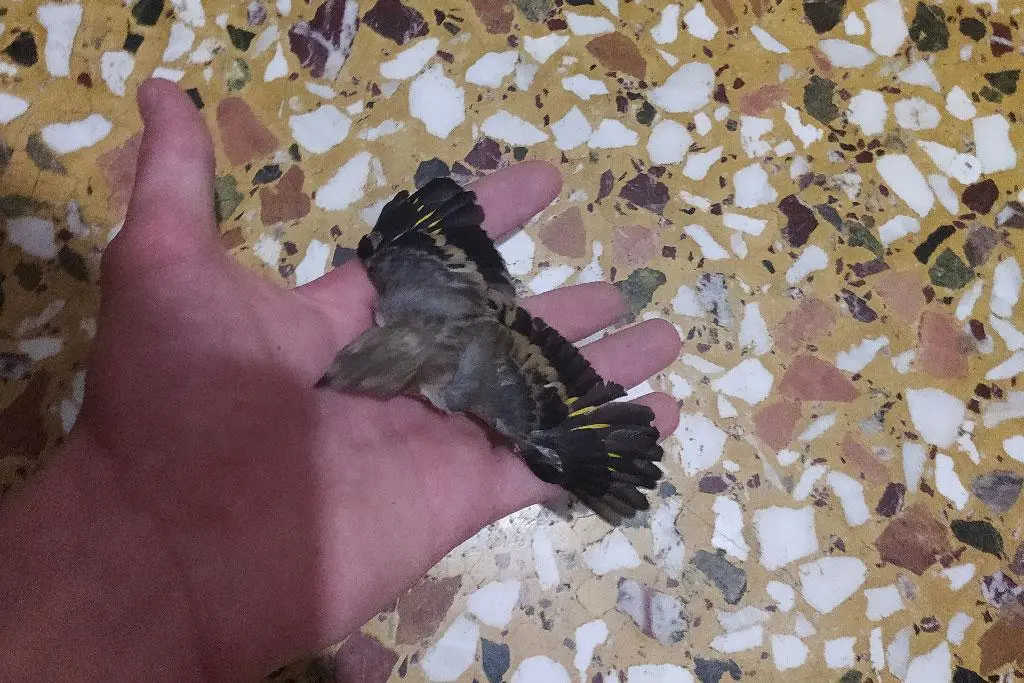 Συνημμένη εικόνα 73421