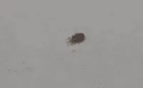 Συνημμένη εικόνα 73576
