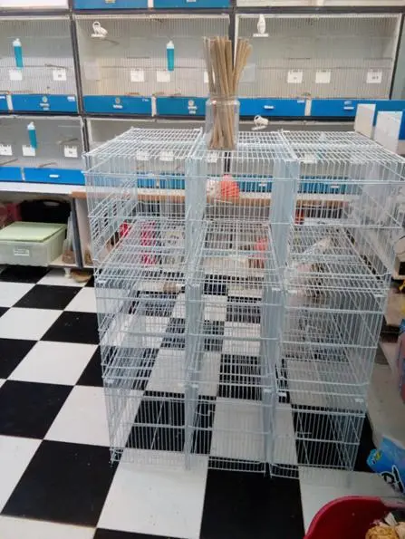 Συνημμένη εικόνα 73624