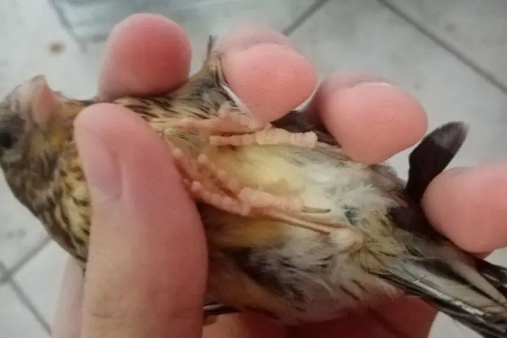 Συνημμένη εικόνα 73707
