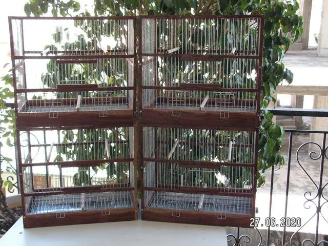 Συνημμένη εικόνα 73727