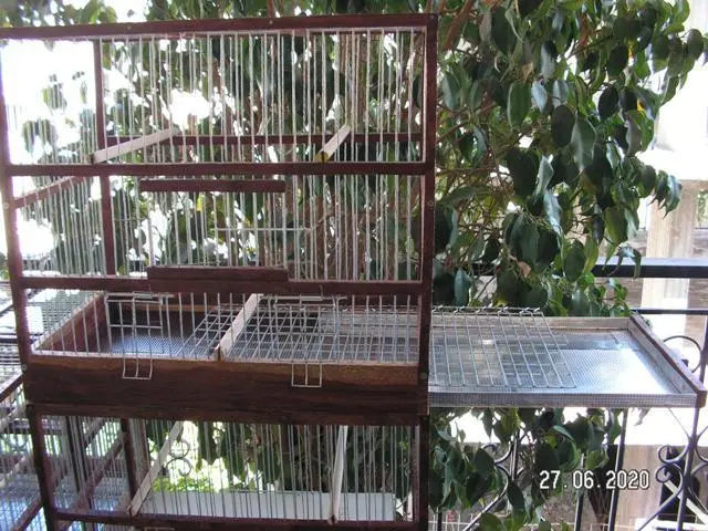 Συνημμένη εικόνα 73732
