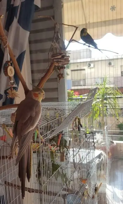 Συνημμένη εικόνα 73750
