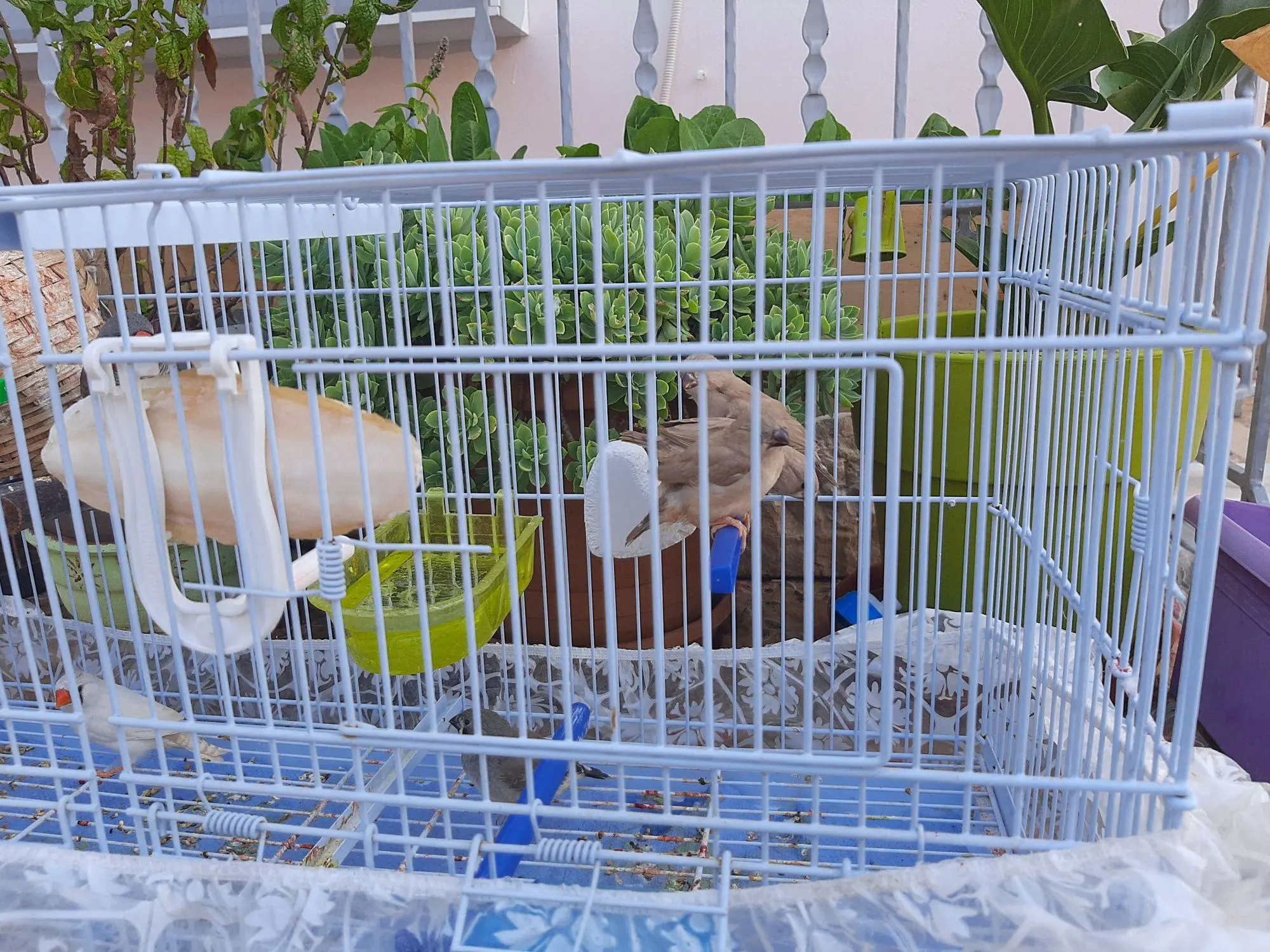 Συνημμένη εικόνα 73842
