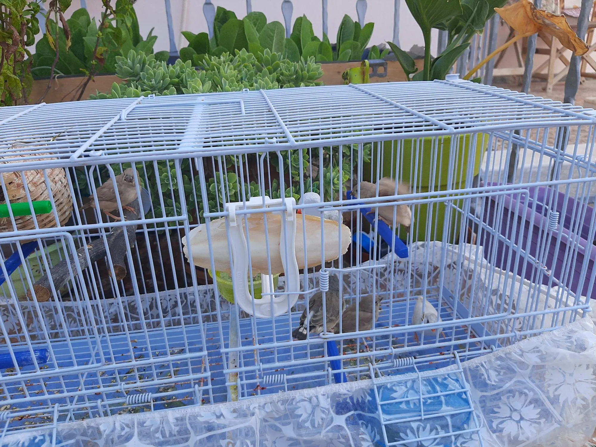 Συνημμένη εικόνα 73845